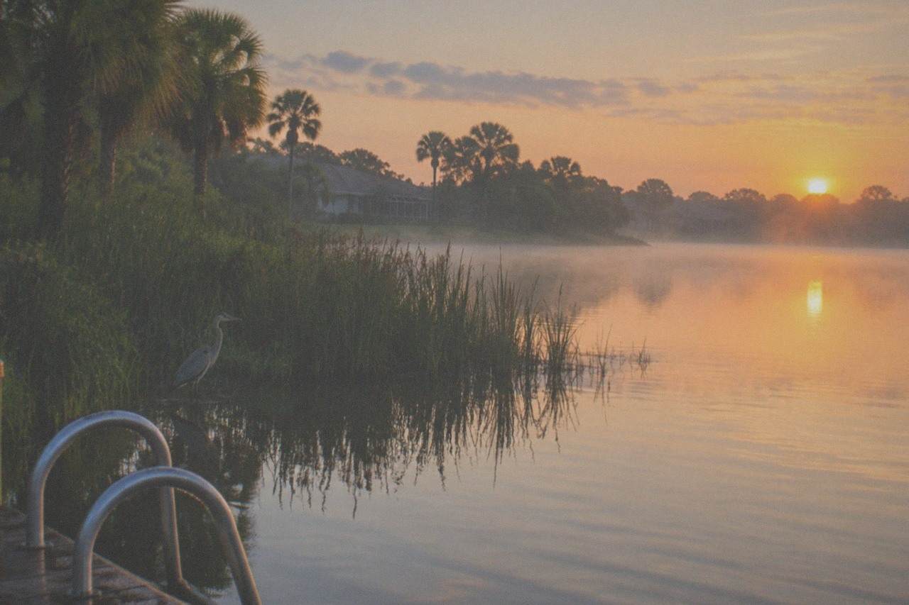 Calm Florida lake at sunrise with reeds along the shore