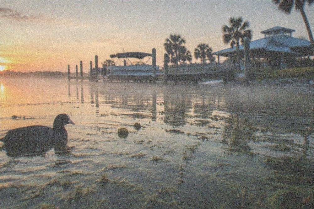 Morning light over a spawntime shallow flat with hydrilla beds and open water beyond on a Florida bass lake