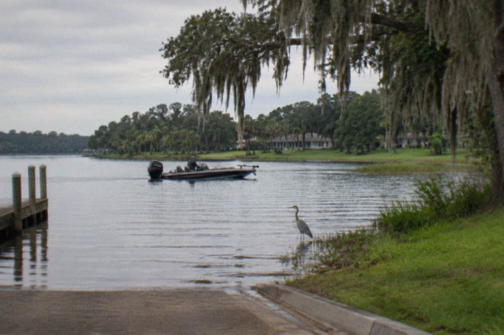 A bass boat drifting along a grassy lake shoreline under a pale morning sky