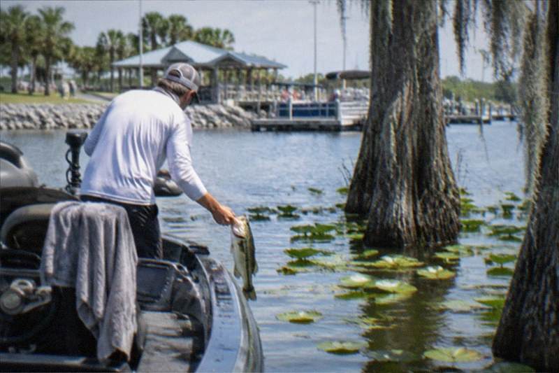Angler lifting a largemouth bass boatside while a pontoon floats on a calm Central Florida lake, reeds and shoreline docks visible behind