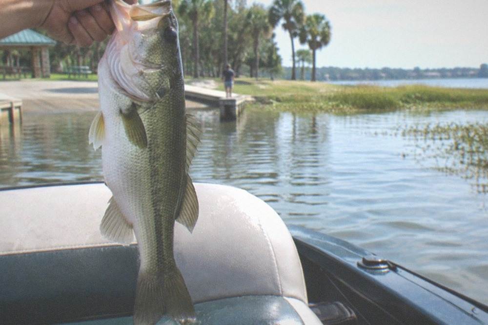 Largemouth bass held above a boat seat with lake water in the background