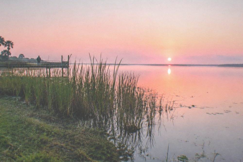 A quiet Florida lake at sunrise with cattails along the bank
