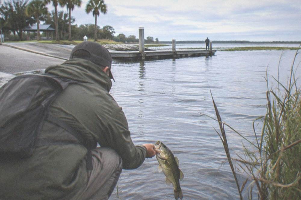 An angler's hands holding a largemouth bass over a lake just before release