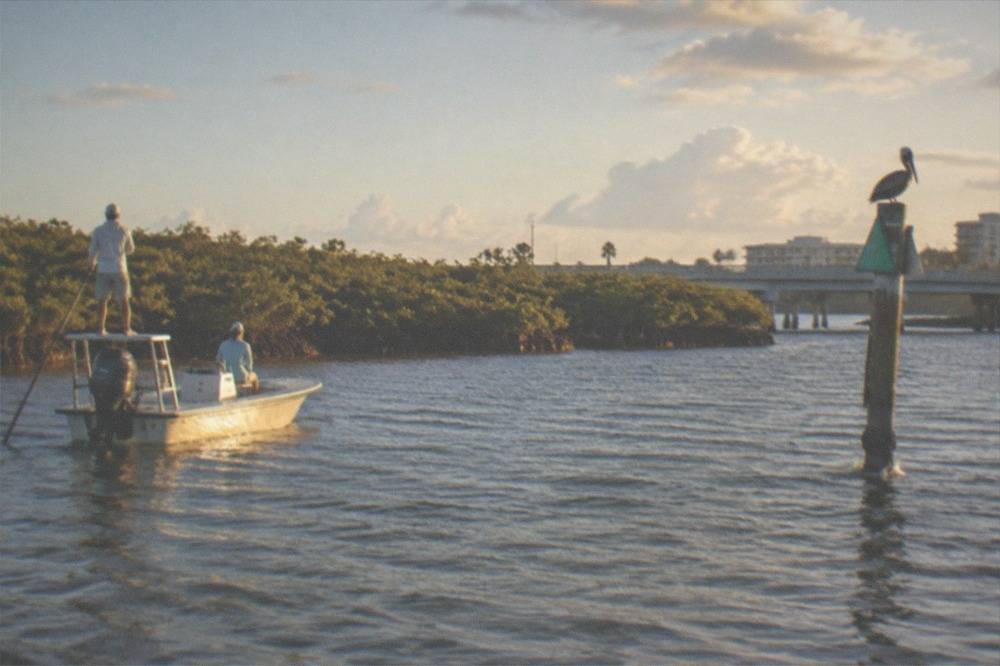 A flats boat drifting over shallow seagrass water near mangroves