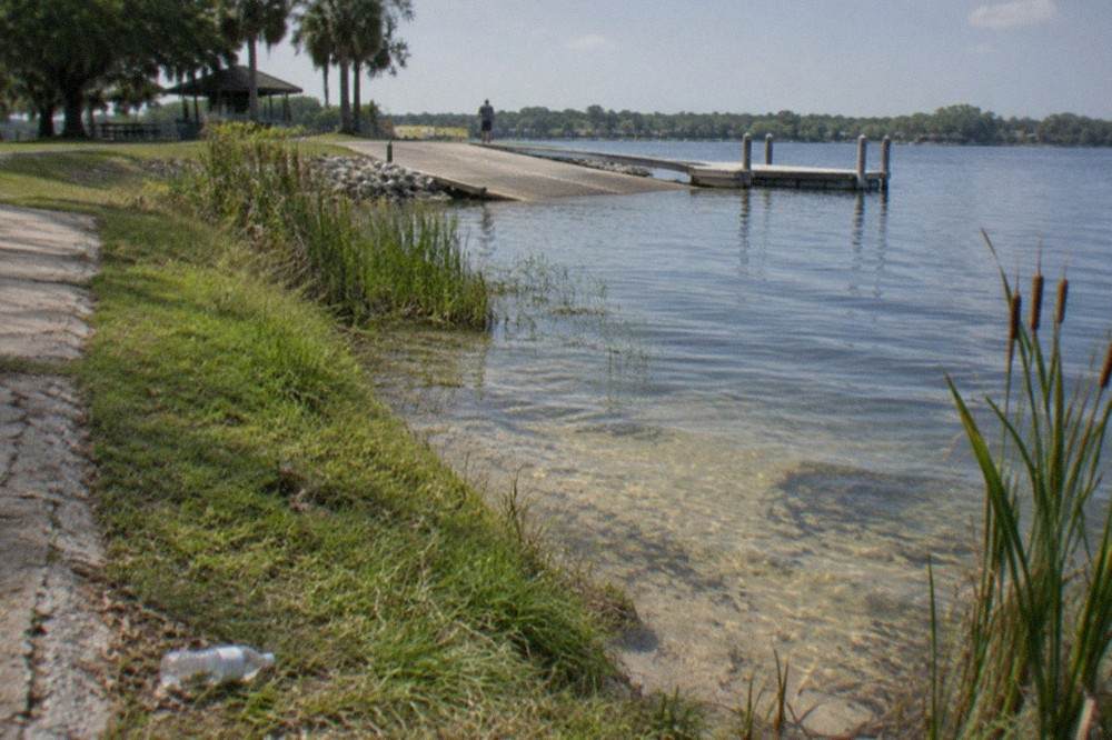 Grassy lake shoreline with calm water and cattails in morning light