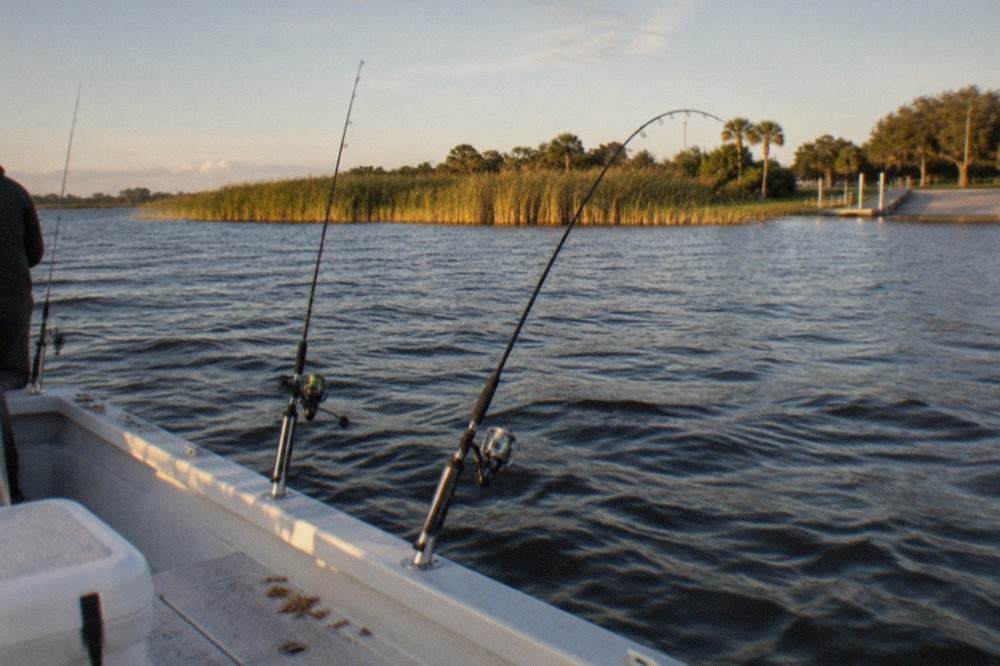 Fishing rods held in holders along the gunwale of a charter boat on a Florida lake