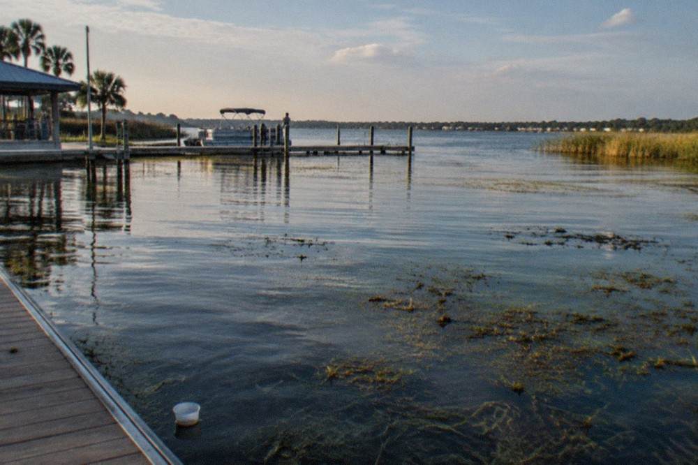 Wide view of a large shallow Florida lake with scattered hydrilla beds and morning light
