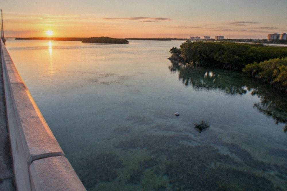Wide shallow flat with seagrass patches under clear water at sunrise