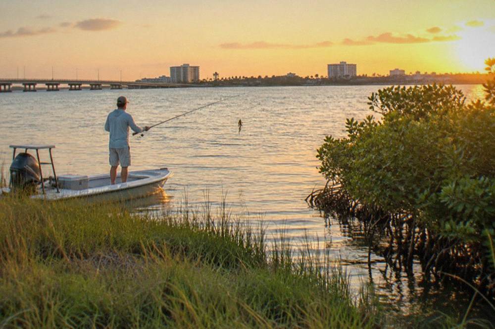 Angler casting toward a grassy lagoon shoreline from a skiff