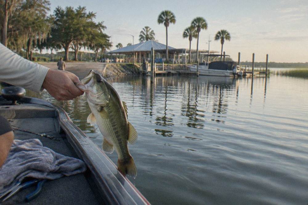 largemouth bass held over the gunwale of a bass boat on a calm Florida lake